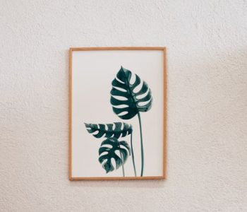 Minimalist framed monstera leaf print against a textured white wall, perfect for interior decor.